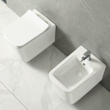 LT 49 Rimless Compact Hung Toilet