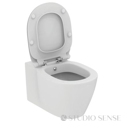 Hung Toilet Connect 54