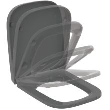 i.Life B Grey Soft-Closing Seat/Cover for Toilet