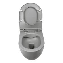 Infinity 53 Stone Gray Rimless Hung Toilet