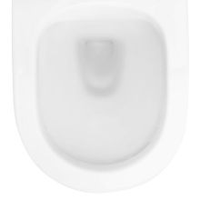 Конзолна тоалетна Carlo 48 Mini Rimless 